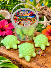 Load image into Gallery viewer, Volcano ~ Turtle Buckets
